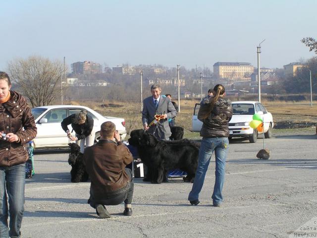 Фотография № 11803