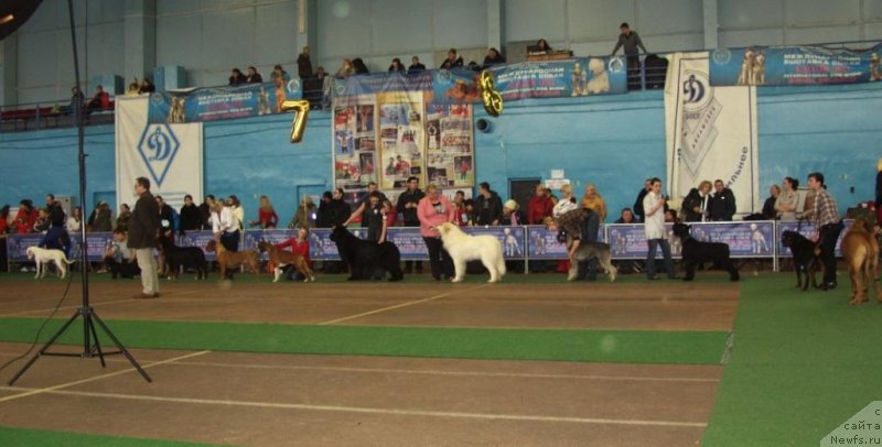 Фотография № 118049