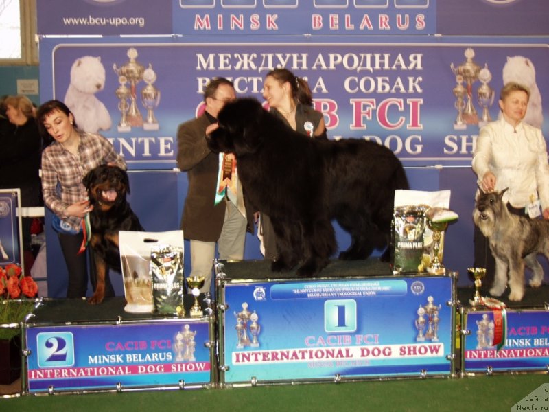 Фотография № 118050