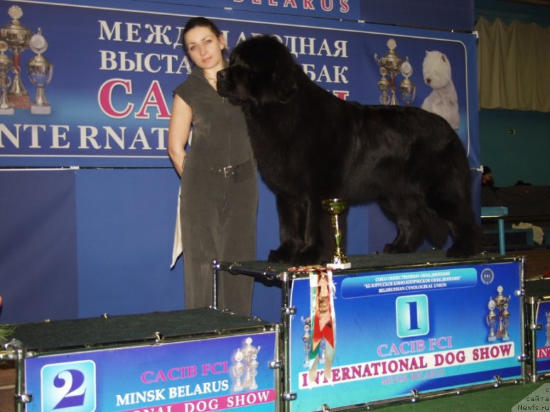 Фотография № 118051