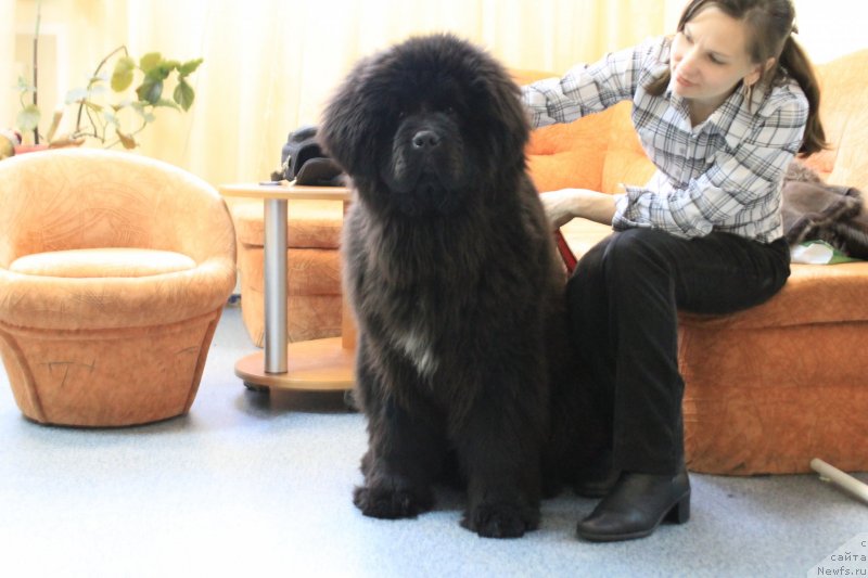 Фотография № 118056