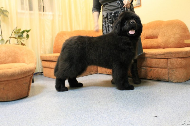 Фотография № 118059