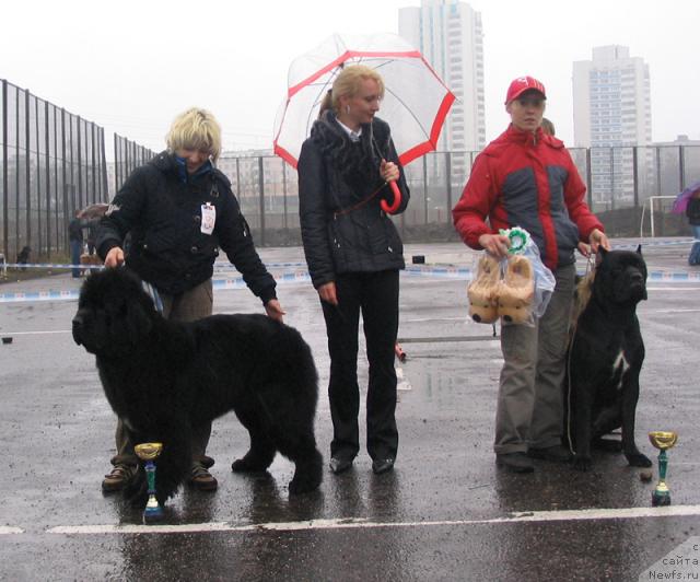 Фотография № 11809