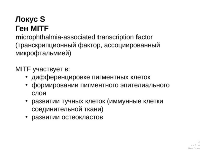 Фотография № 118117