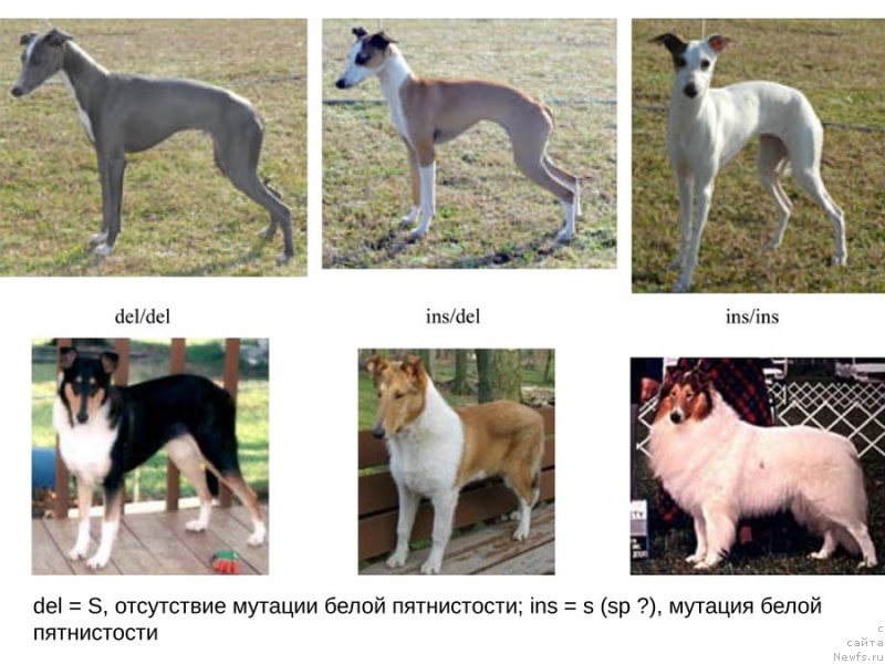 Фотография № 118121