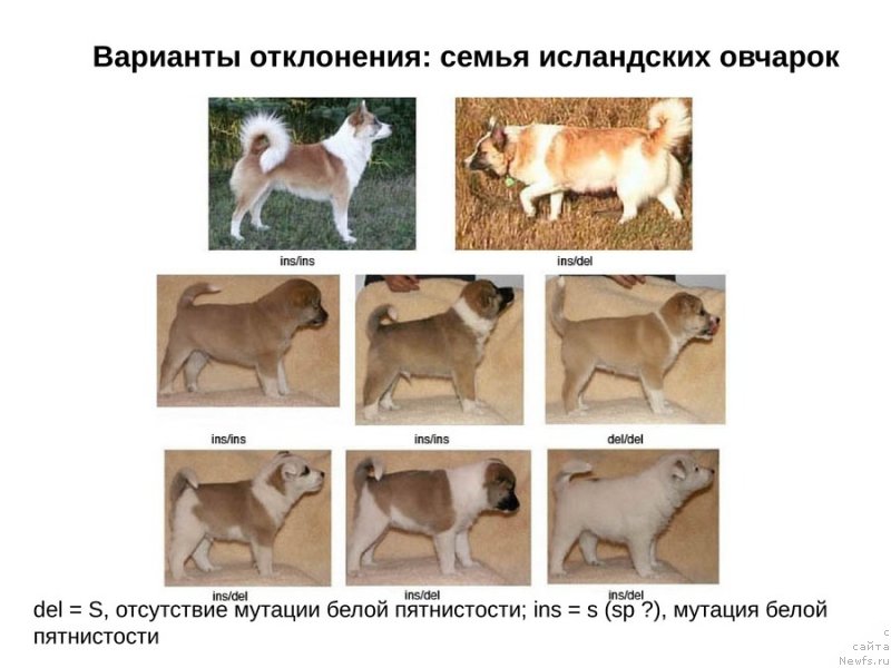 Фотография № 118122