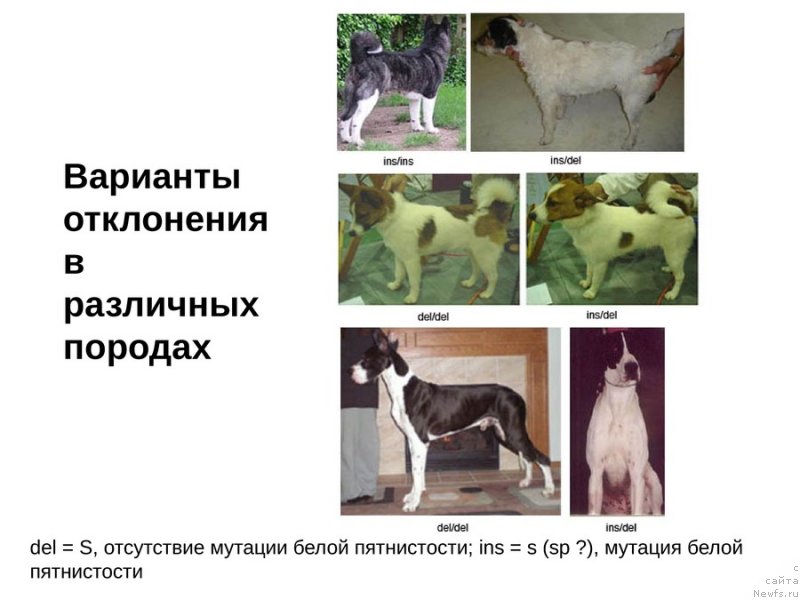 Фотография № 118123