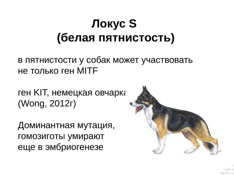 Фотография № 118124