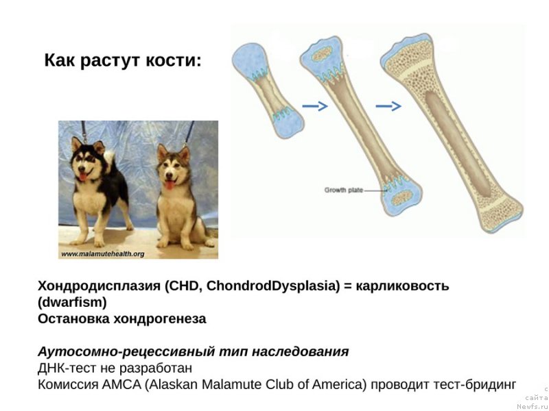 Фотография № 118125