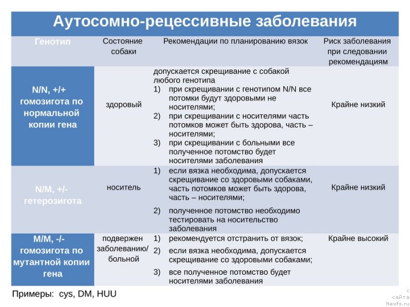 Фотография № 118126