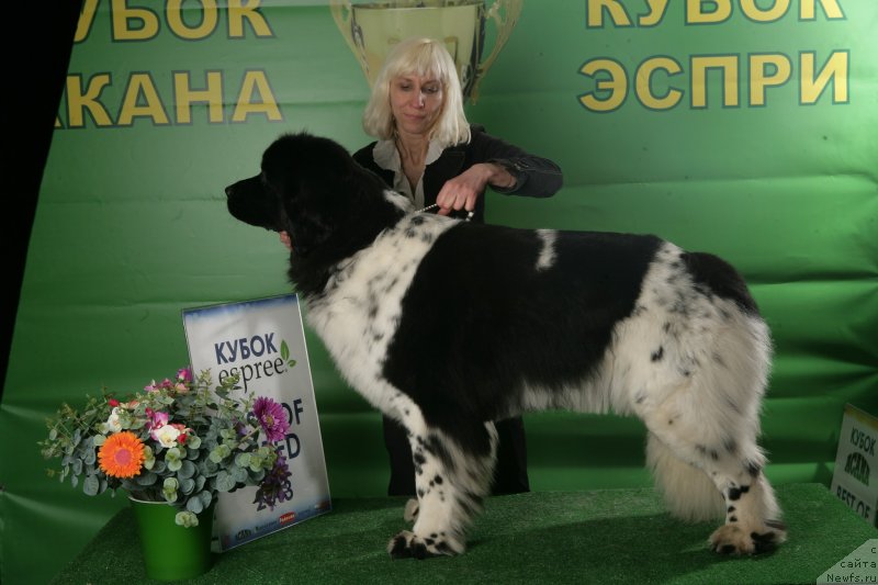 Фотография № 118129