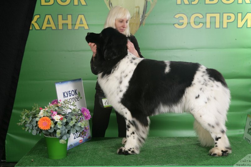 Фотография № 118131