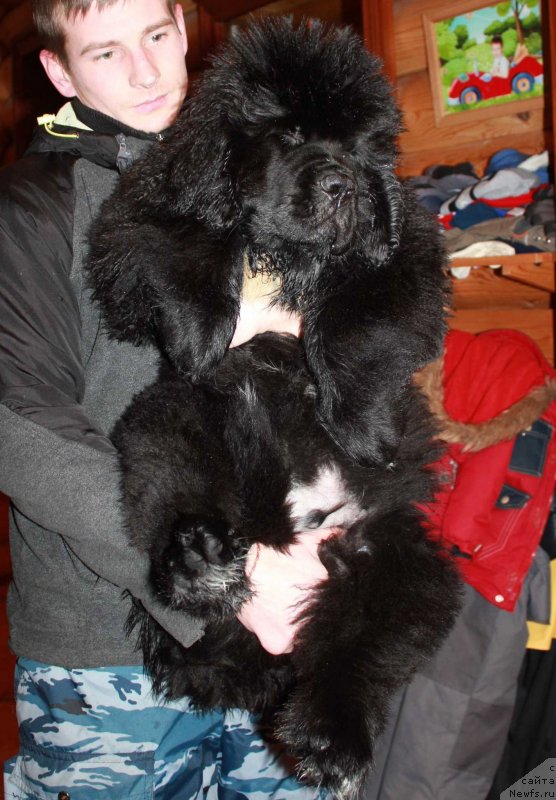 Фотография № 118143