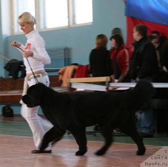 Фотография № 11816