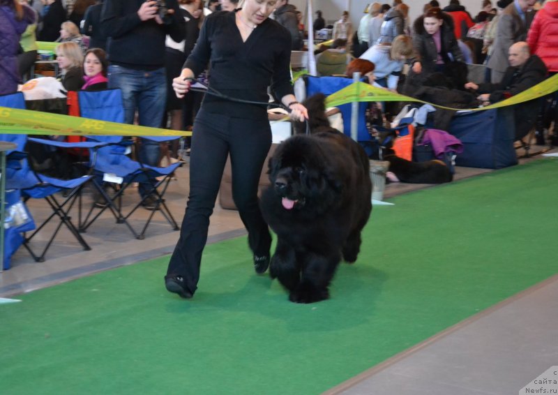 Фотография № 118167