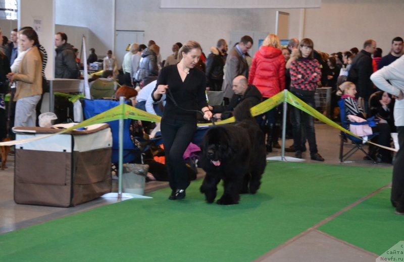 Фотография № 118168