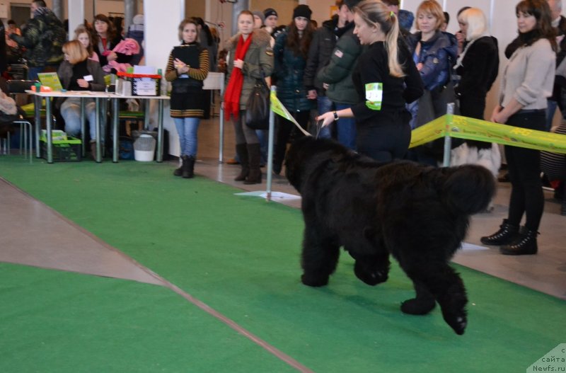 Фотография № 118169