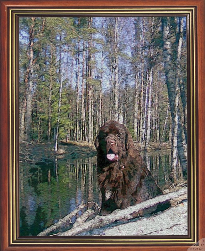 Фотография № 118192