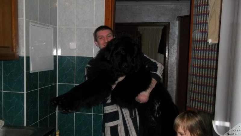 Фото: Инна Габрусь