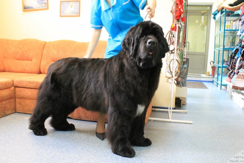 Фотография № 118205