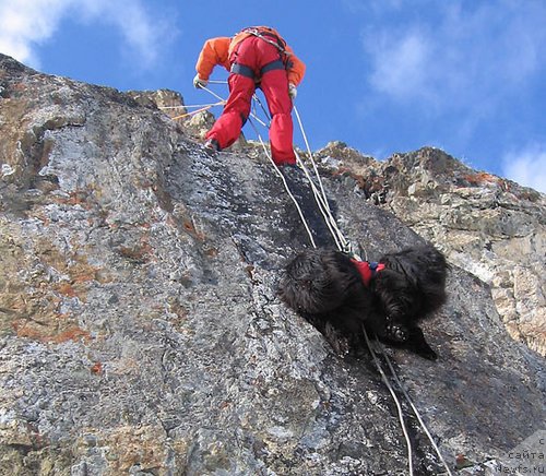 Фотография № 118220