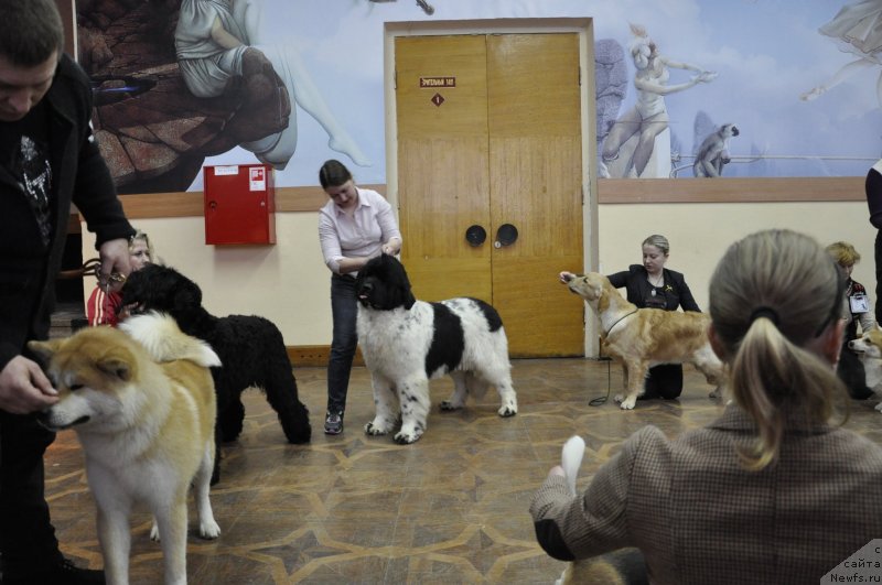 Фотография № 118225