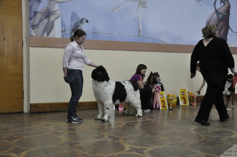 Фотография № 118227