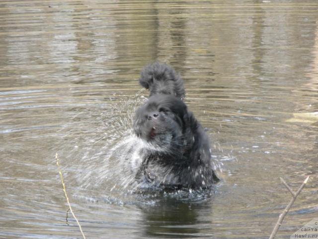 Фотография № 11825