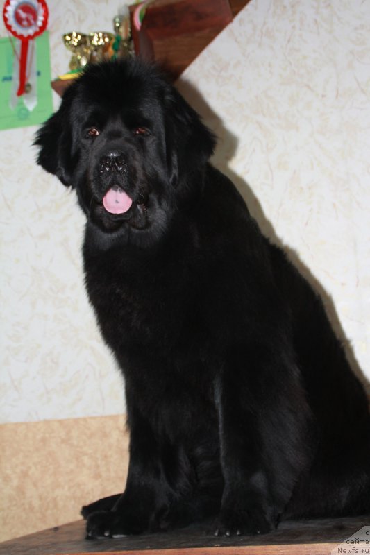 Фотография № 118257