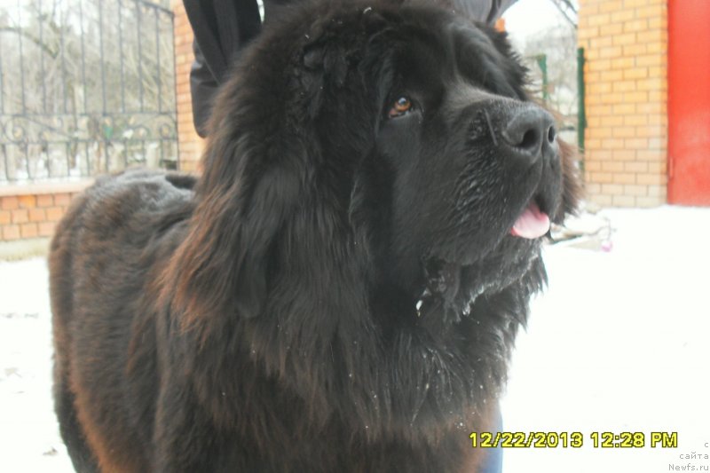 Фотография № 118259