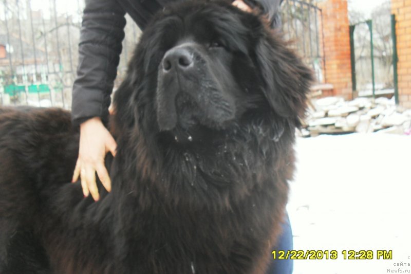 Фотография № 118260