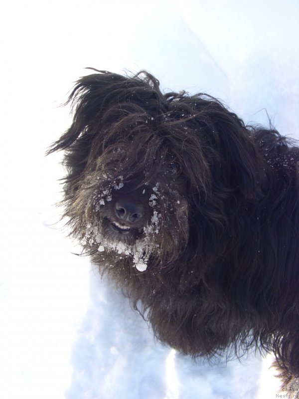 Фотография № 118279