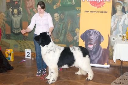 Фотография № 118294