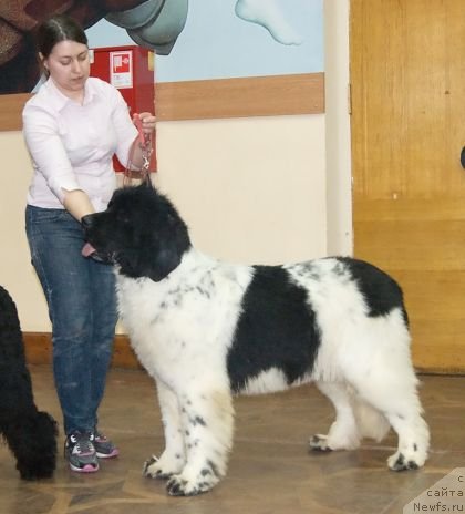 Фотография № 118295