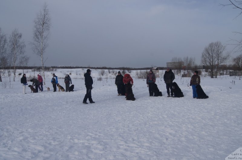 Фотография № 118338