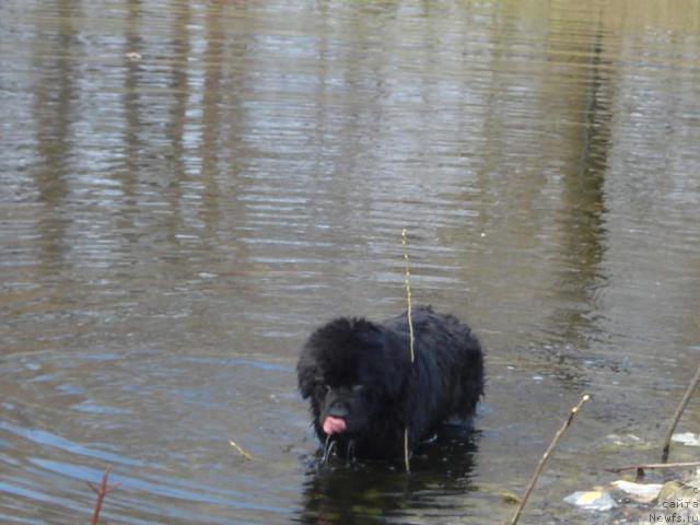 Фотография № 11834