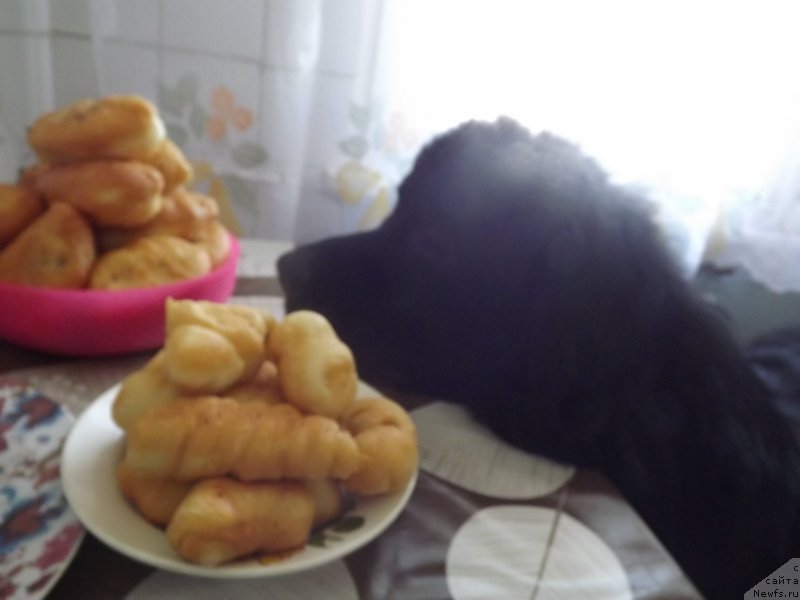 Фотография № 118379