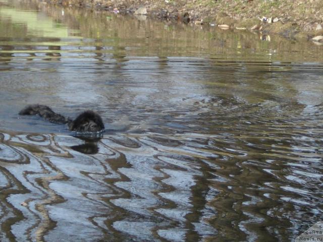 Фотография № 11839