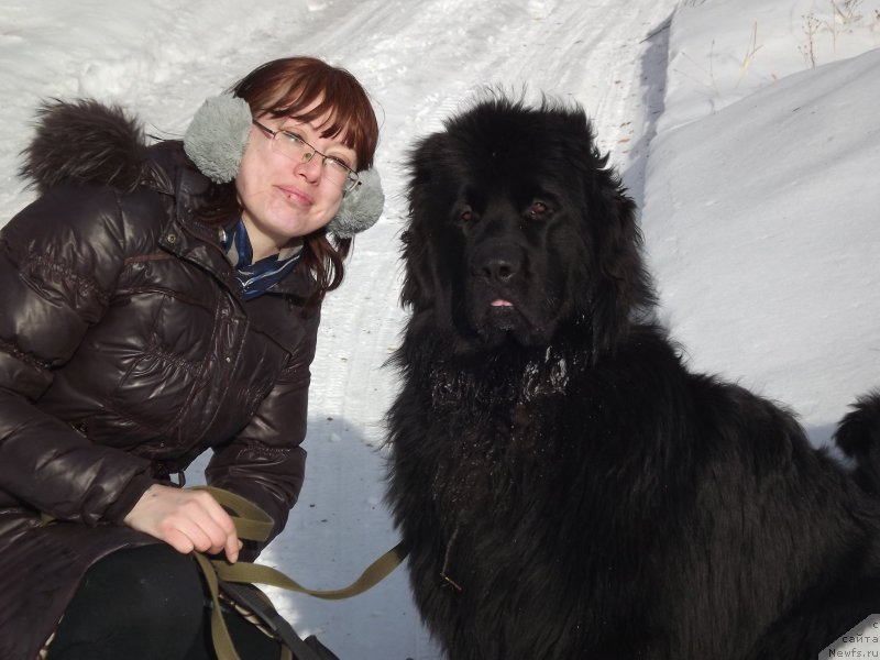 Фотография № 118396