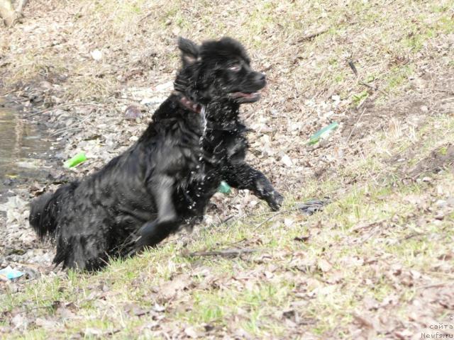 Фотография № 11842