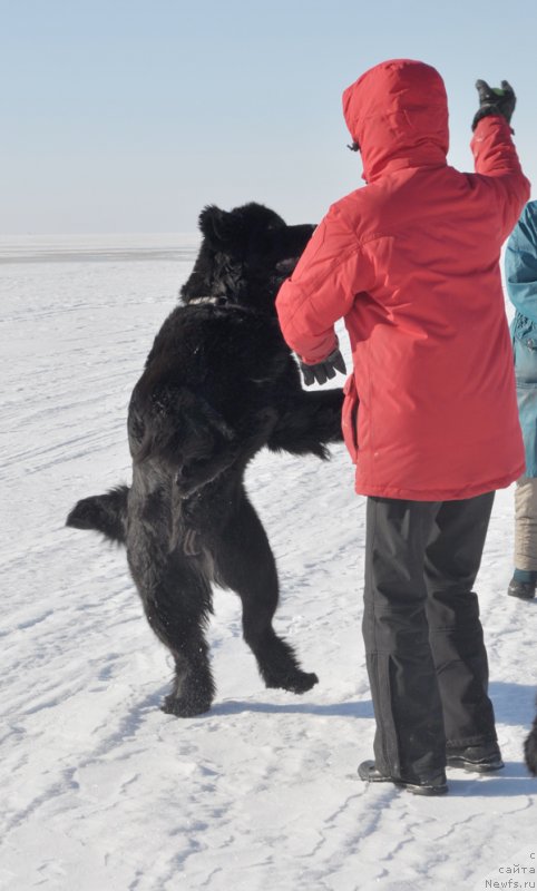 Фотография № 118435