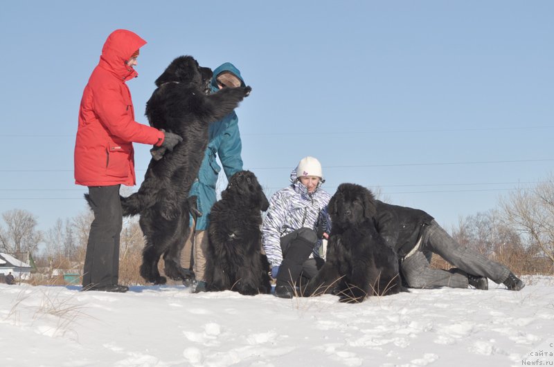 Фотография № 118445