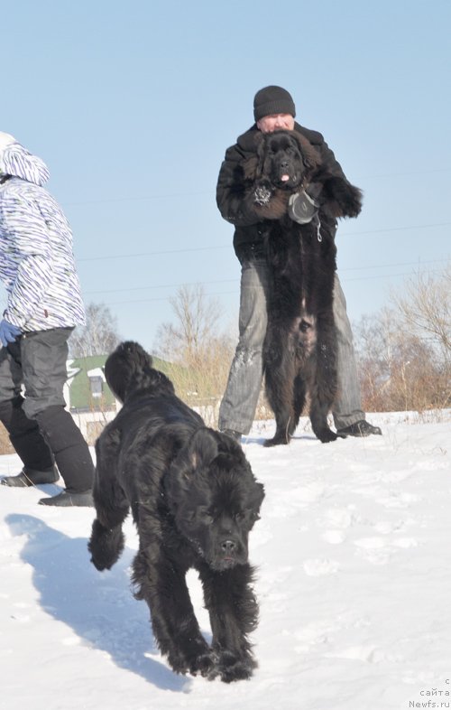 Фотография № 118447