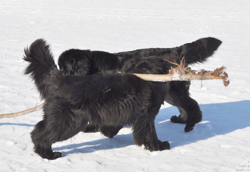 Фотография № 118450