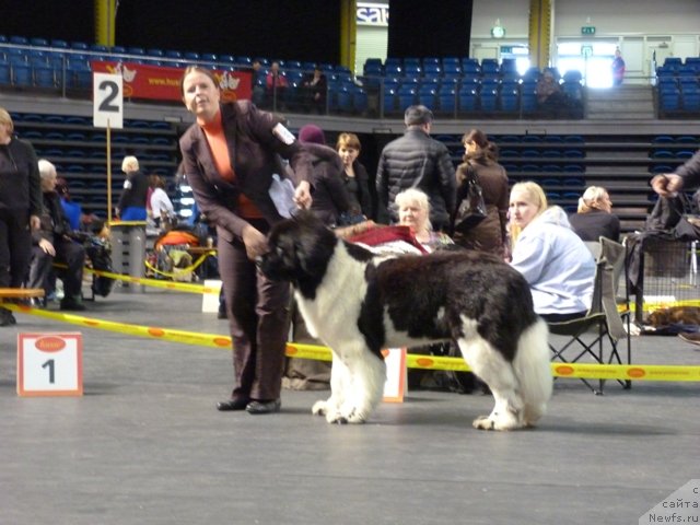 Фотография № 118471