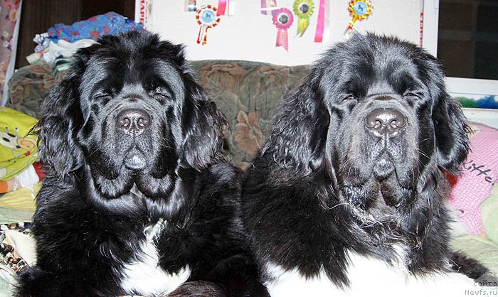 Фотография № 118488