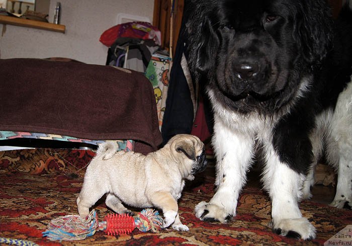 Фотография № 118494