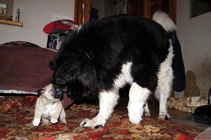 Фотография № 118495