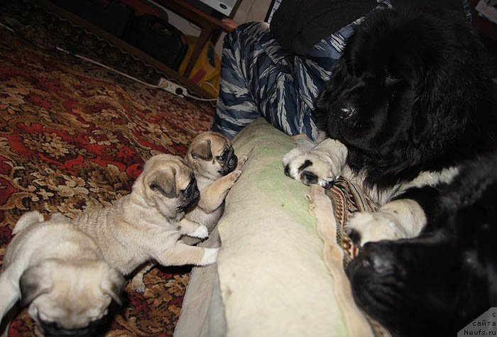 Фотография № 118497