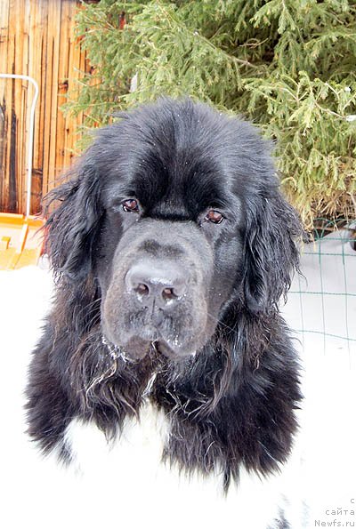 Фотография № 118502